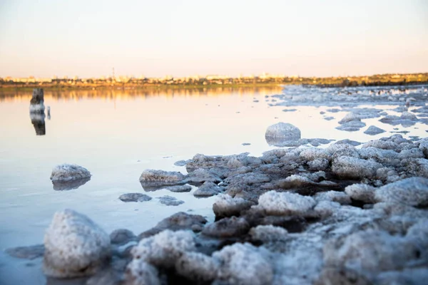 Odessa Ölü Deniz. Suda tuz.