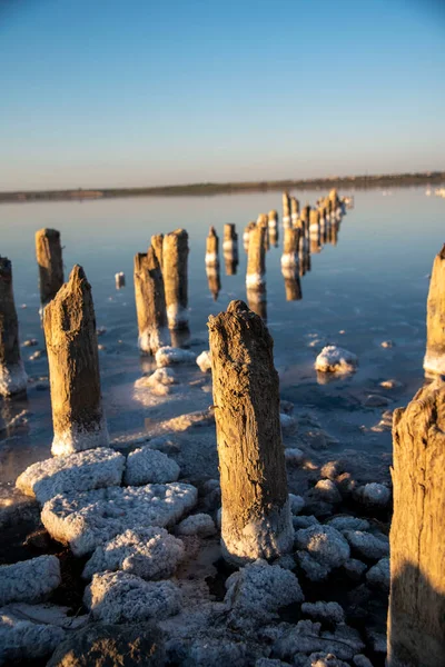 Odessa Ölü Deniz. Suda tuz.