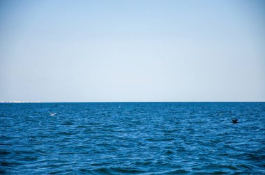 Denizde güzel bir ufuk. Dalgalar. Denizde güneşli bir gün.