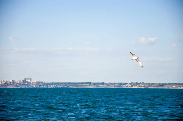 Denizde güzel bir ufuk. Dalgalar. Denizde güneşli bir gün.