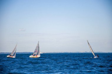 Denizde beyaz yelken. Yelkenli. Yelkencilik yarışmaları.