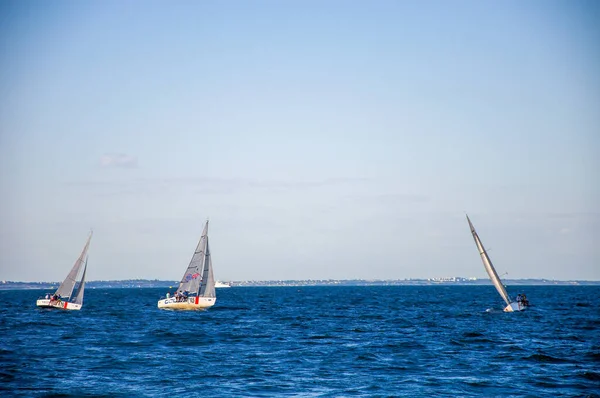 Vela Branca Mar Navegar Competições Vela — Fotografia de Stock