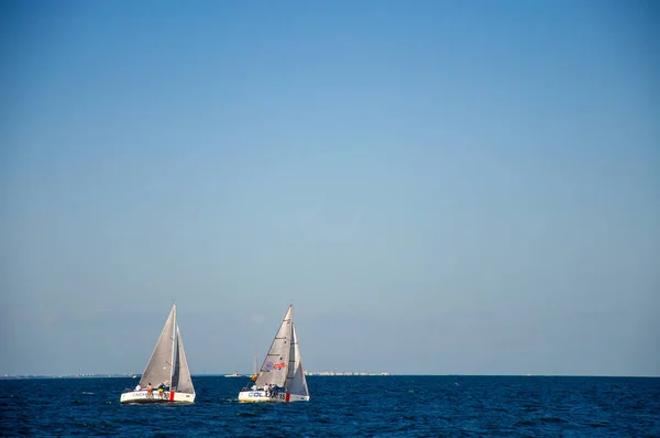 白色的帆在海上航行 帆船比赛 — 图库照片