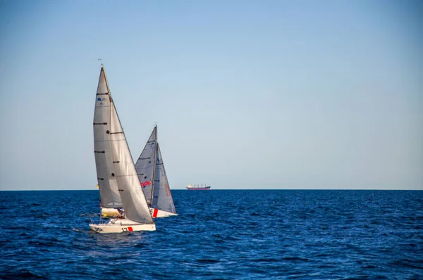 Denizde Beyaz Yelken Yelkenli Yelkencilik Yarışmaları — Stok fotoğraf