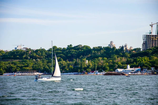 Denizde beyaz yelken. Yelkenli. Yelkencilik yarışmaları.