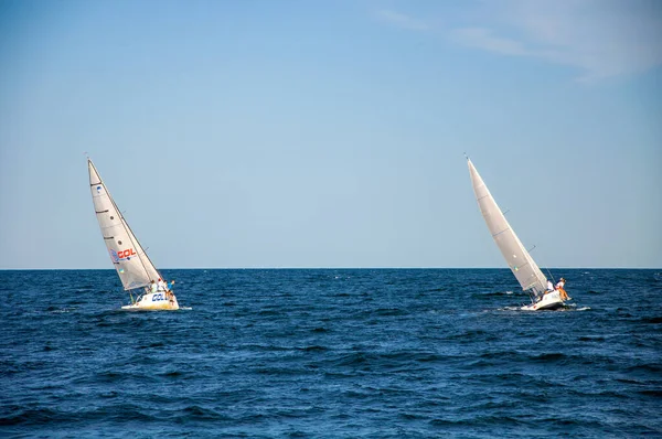 Denizde beyaz yelken. Yelkenli. Yelkencilik yarışmaları.