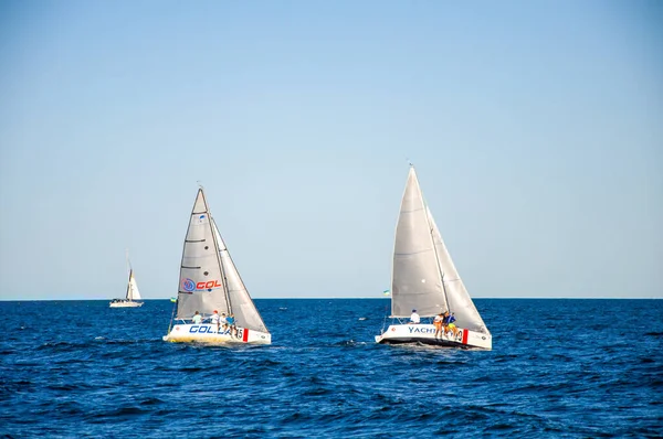 Weiße Segel Auf Dem Meer Segeln Segelwettbewerbe — Stockfoto