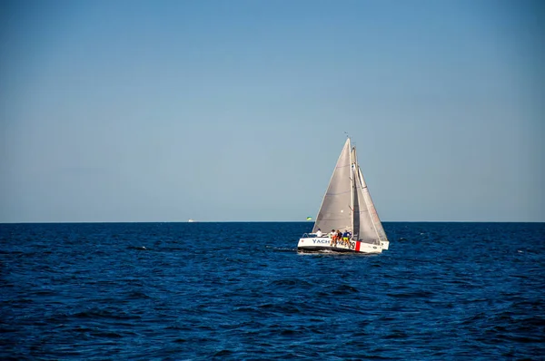 Denizde beyaz yelken. Yelkenli. Yelkencilik yarışmaları.