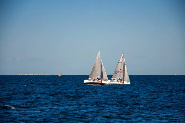 Denizde Beyaz Yelken Yelkenli Yelkencilik Yarışmaları — Stok fotoğraf