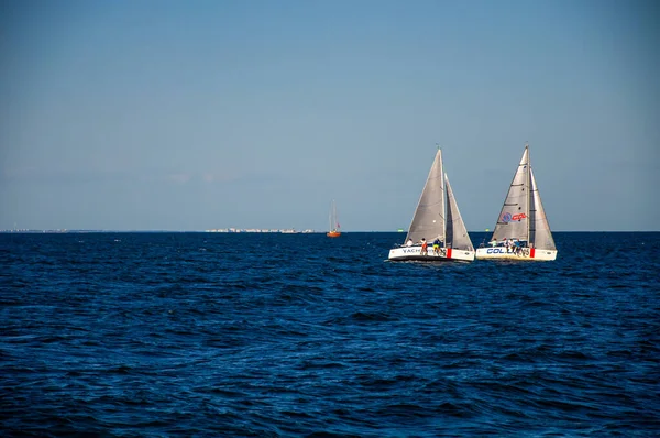 Denizde beyaz yelken. Yelkenli. Yelkencilik yarışmaları.