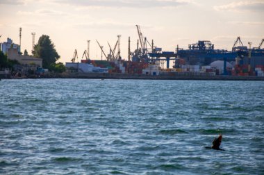 Odessa limanı. Limanda vinçler yükleniyor. Denizden limana bak..