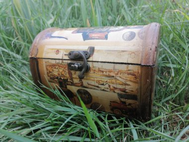 Bahçedeki güzel ahşap kutu