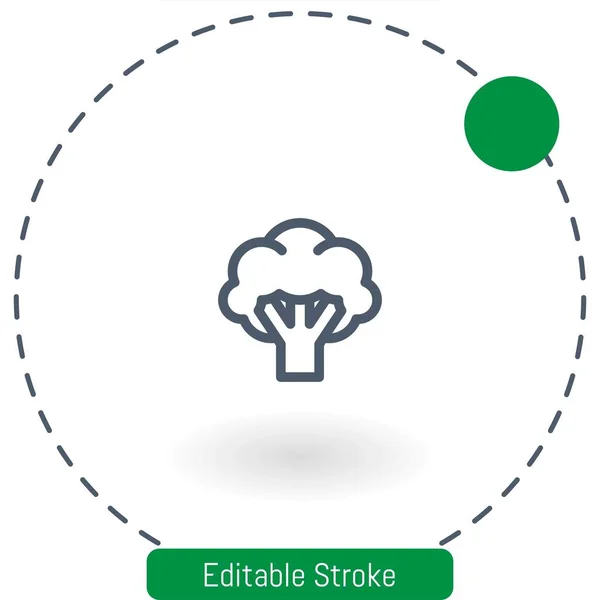 Broccoli Vector Icon Editable Stroke Outline Icons Web Mobile — Stock Vector