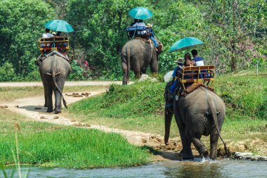 Ride fil turistlere Lampang Eğitim Merkezi Tayland Tayland fil Koruma Merkezi Lampang Tur.