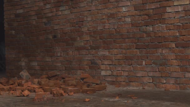 Video of red bricks lying on the ground in front of wall. First some small pieces of cement starts to fall down. Then suddenly some bricks starts to do that as well. — Stock Video