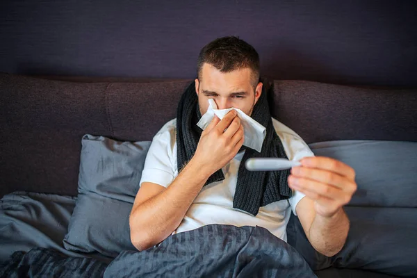 Sick young man looks on thermometer and sneezing in white napkin at the same time. His low part of body is covered with blanket. Young man has scarf around neck.