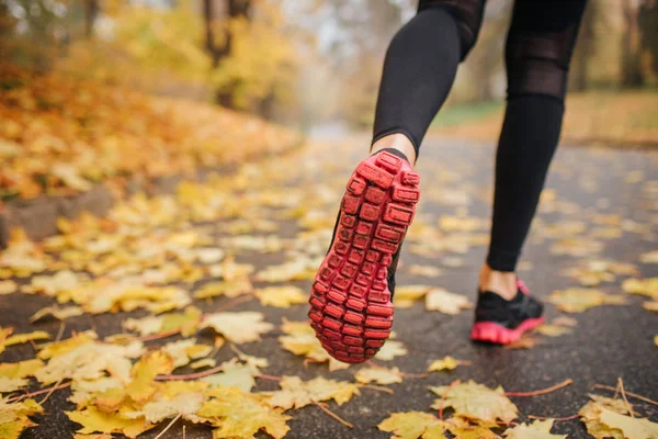 Picture of woman legs in park on road. She runs. Woman wears black with red crosses and black sport pants. Yellow leaves are on road. Everything is covered with them.