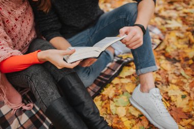 Görünüm üzerinde sonbahar park ve okuma kitabı battaniyeye oturmuş çift kesmek. Birlikte tutuyorlar. İnsanlar sıcak giysiler giymek.