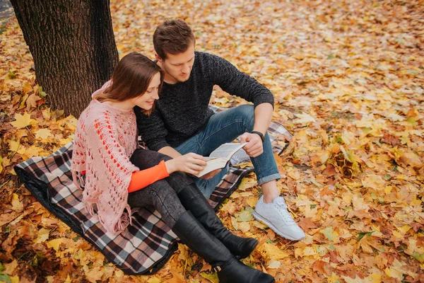 Hermosa pareja sentarse en la manta y leer el libro que mantienen juntos. La gente está en el parque de otoño. Sonríen . — Foto de Stock