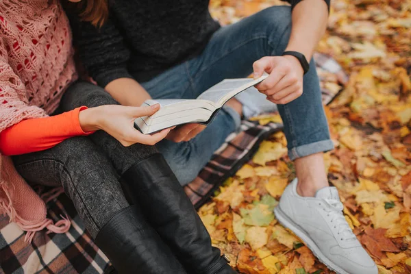 Cut view of couple sitting on blanket in autumn park and read book. They hold it together. People wear warm clothes.