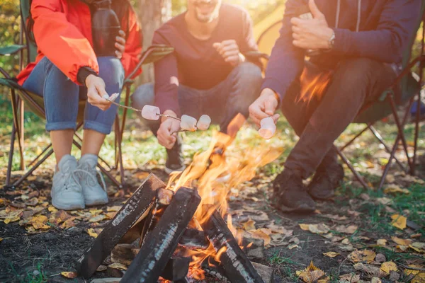 Image de toi assis sur des chaises pliantes et ayant murmuré sur des branches. Ils le font cuire au feu. . — Photo