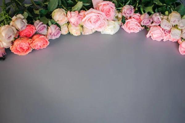 Imagen de rosas de colores se encuentran en forma de arco sobre fondo gris . — Foto de Stock