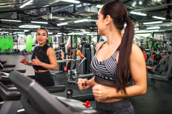 Bilde av to unge kvinner som løper på en maskin. De ser på hverandre. Personer som trener i gymsalen . – stockfoto