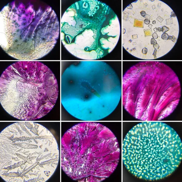 Estudo Drogas Microscópio — Fotografia de Stock