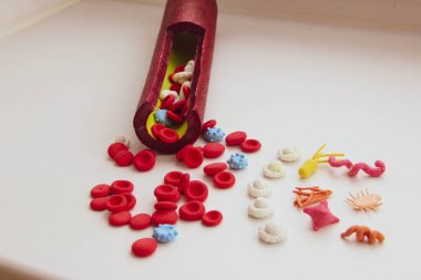 Polimer plastisin, covid-19 'dan yapılmış trombositler.