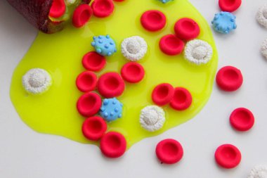 Polimer plastisin, covid-19 'dan yapılmış trombositler.