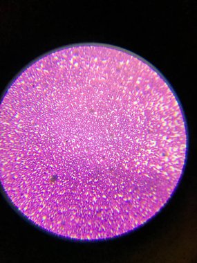 Mikroskop altında tıbbi hazırlıklar