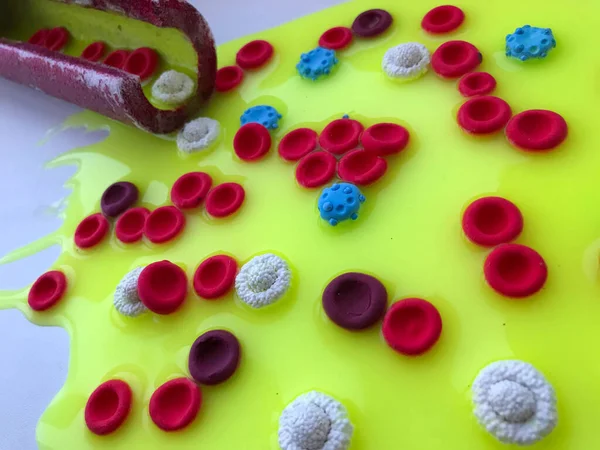 Polimer plastisin, covid-19 'dan yapılmış trombositler.