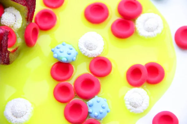 Polimer plastisin, covid-19 'dan yapılmış trombositler.