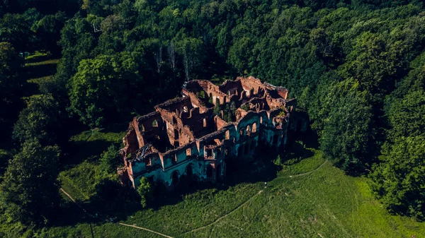 Ruzhany 'deki eski yıkılmış saray insansız hava aracı fotoğrafı.