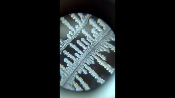 Die mikroskopische Welt. Schneeflocke unter dem Mikroskop. — Stockvideo