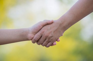 Elin ucundan fidanlara su damlıyor. Büyümek için. Bir fidyedeki seçim odağı.