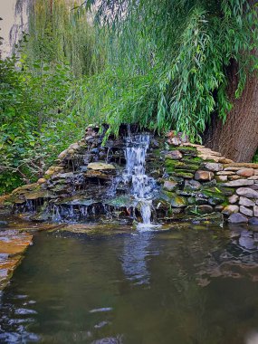 Küçük bir göle akan taşlardan oluşan güzel yapay bir şelale. Söğüt yeşili yaprak. Açık hava mimarisi kavramı.