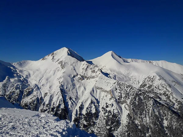 美丽的冬季风景 山上的雪 蓝天背景 保加利亚班斯科地区的喀尔巴阡山 Todorka峰 高度2746米 9009英尺 高于海平面 — 图库照片