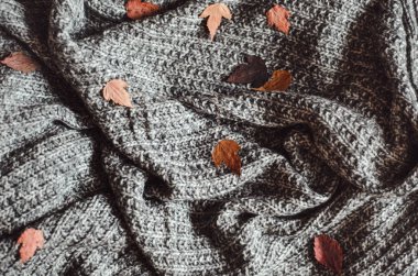 Sıcak yün rahat ev yapımı gri örgü battaniye kuru sonbahar yaprakları ile. Kavramı, sonbahar iç.