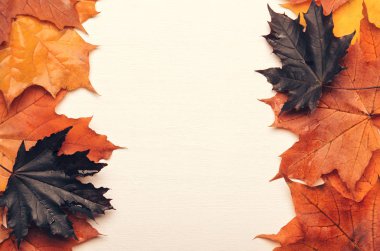 Sonbaharda sarı, kırmızı veya mor sonbahar yaprak çerçeve. Yazıtlar için arka plan. Kopyalama alanı, düz yatıyordu, yaratıcı işleme, tonda fotoğraf