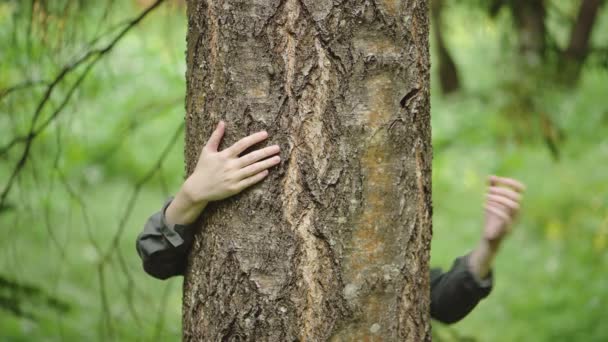 Objevují se ženské ruce v tmavé košili, objímají a hladí kůru velkého stromu. Jednota přírody, péče o lesy, přírodní zdroje, životní prostředí — Stock video