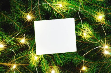 Firavun ağacı dalları ve lambaları arka planda. Dekoratif çerçeve, çiçek arkaplanının üzerinde kopyasal alan. Yılbaşı ağacı parlak çelenkler, Noel süslemeleri. Kış tatilleri kompozisyonu.