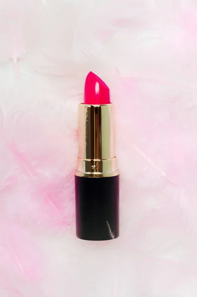 Mode Roter Lippenstift Und Federn Top Ansicht Komposition Beauty Industrie — Stockfoto