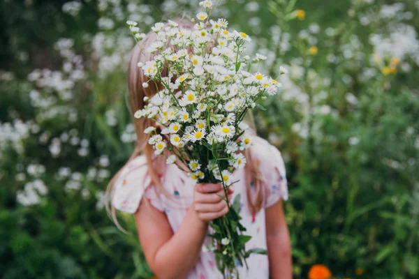 Красива Маленька Дівчинка Тримає Польові Квіти Літні Канікули — стокове фото