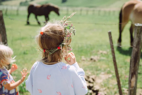 Dos niñas mirando una manada de horas pastando en el campo — Foto de Stock