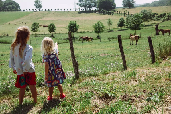 Két kislány egy órányi legeltetést néz egy vidéken. — Stock Fotó