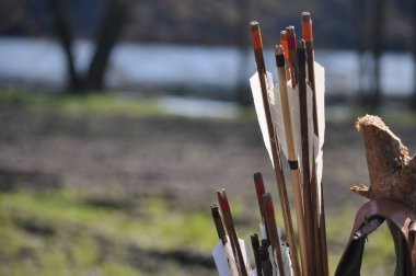 Arka planda bulanık alan olan ok kılıfları. Polonya 'da yaz.