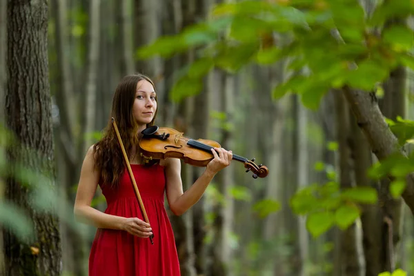 バイオリンを森の中で 柔らかい光の中で赤いドレスの女の子 — ストック写真