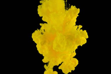 Siyah bir arka plan stüdyo ışık çok renkli soyutlama