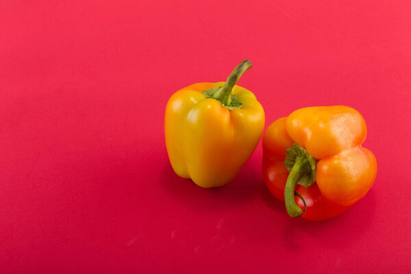 Сладкий перец. Два оранжево-желтых сладких перца на красном фоне. Две штуки. Студийный свет. Вид сверху
